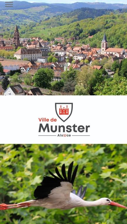 La Bourgogne en Alsace - charmant séjour familial – photo 18