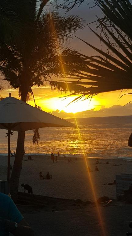 una puesta de sol en una playa con una palmera en Locations Alpinia Réunion, en Saint-Paul