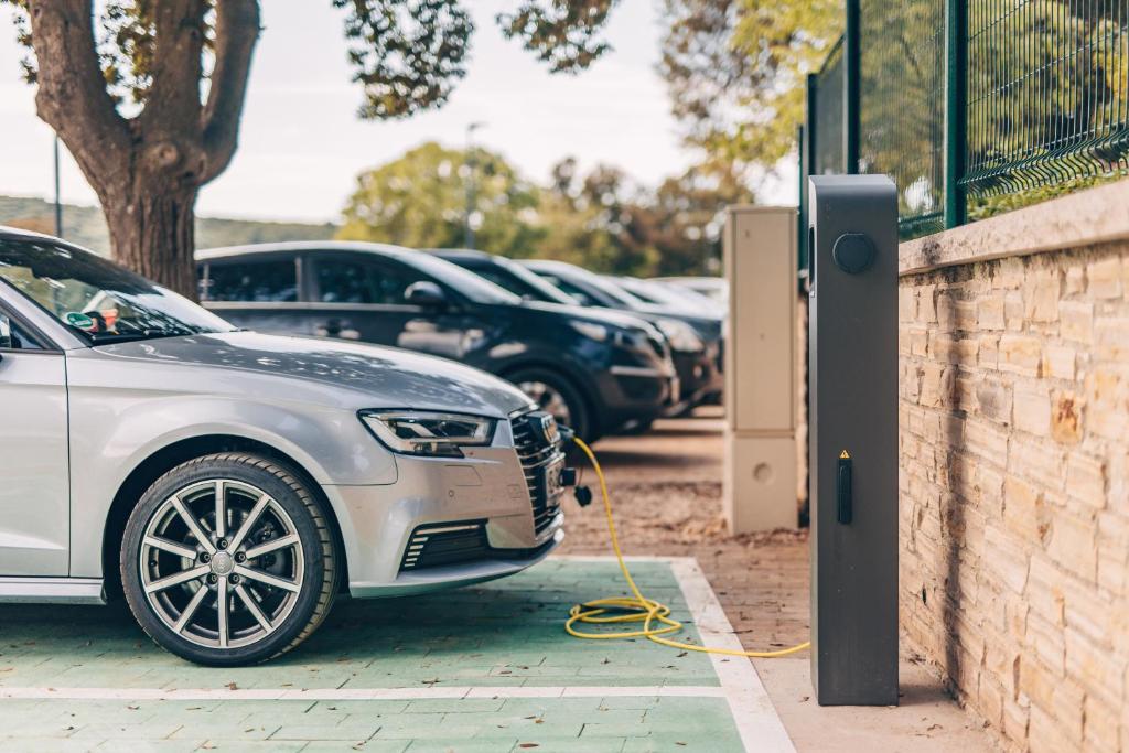 Maistra Camping Veštar Pitches - 19