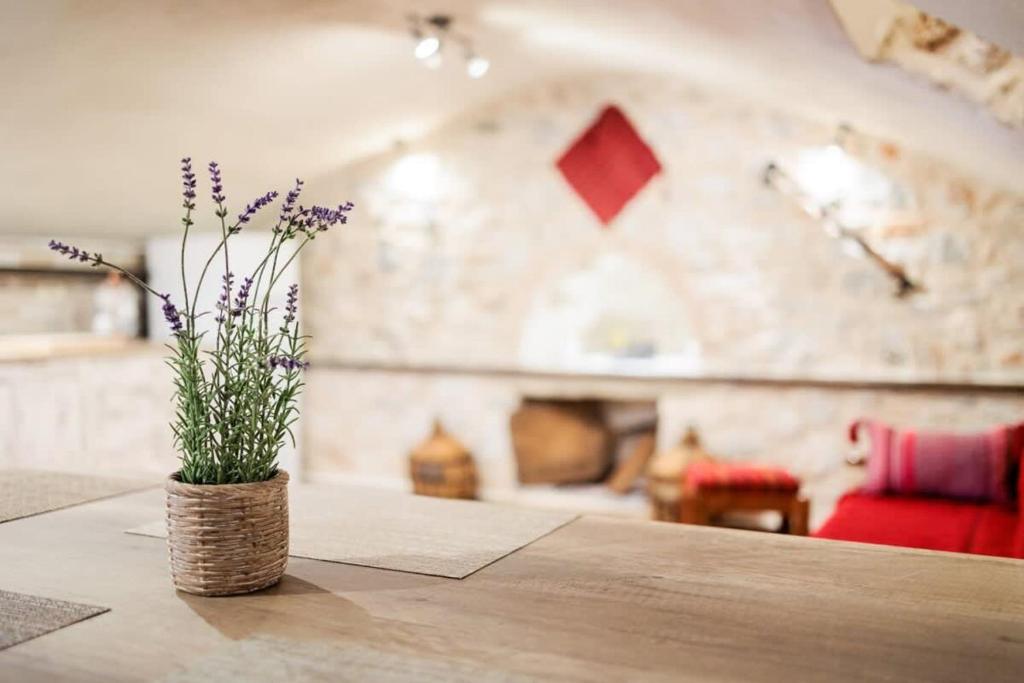 Posezení v ubytování Arcadia Getaway - Levidi Sani 11 Studio