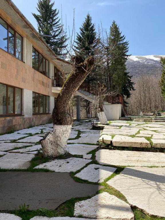 Nespecifikovaný výhled na hory nebo výhled na hory při pohledu z hotelu