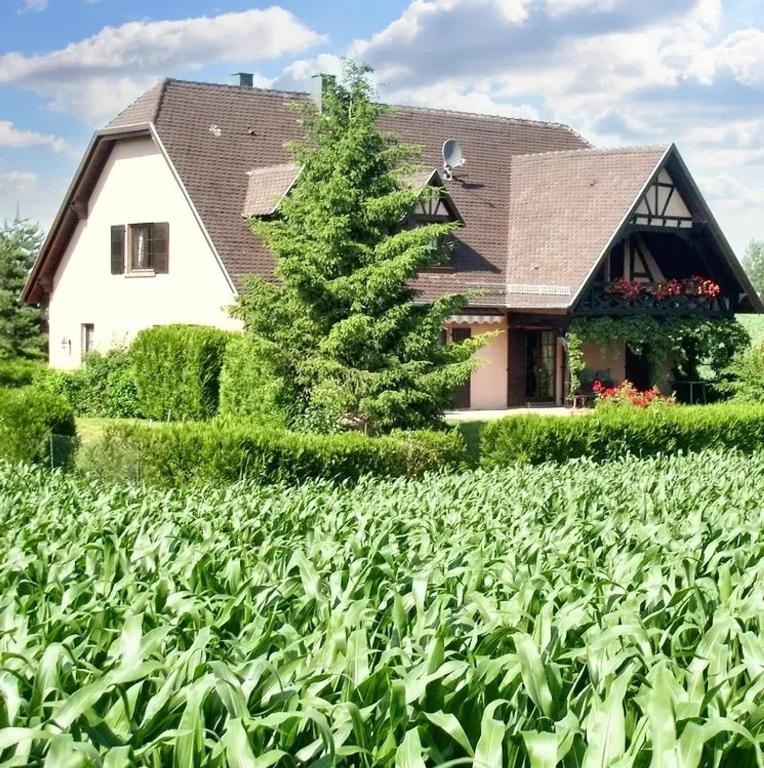 Appartement charmant a Hochfelden 100 m² et parking gratuit - Housity