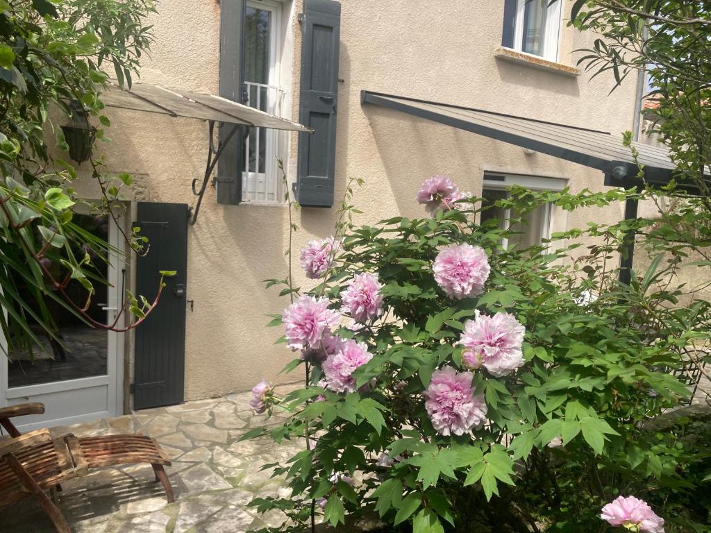 a bush of pink flowers in front of a house at Maison DELMAS, l'Oustal du Recantu in Sainte-Eulalie