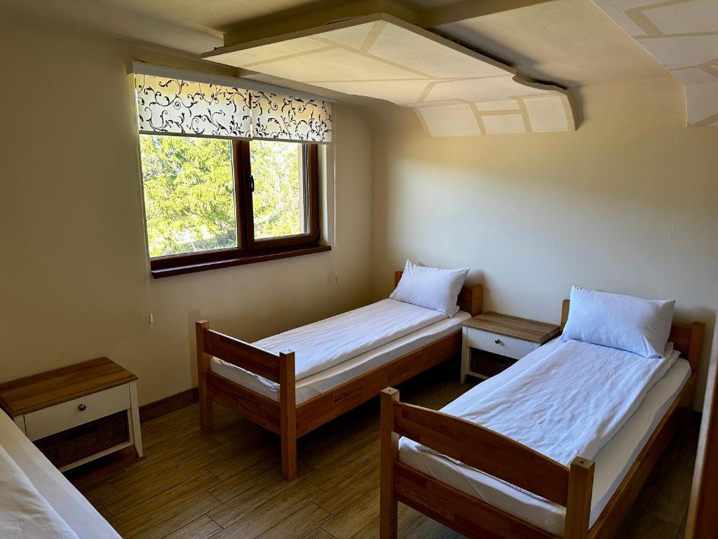 two beds in a room with a window at Vlasic Odmor - Villa Wellnes & spa in Vlasic