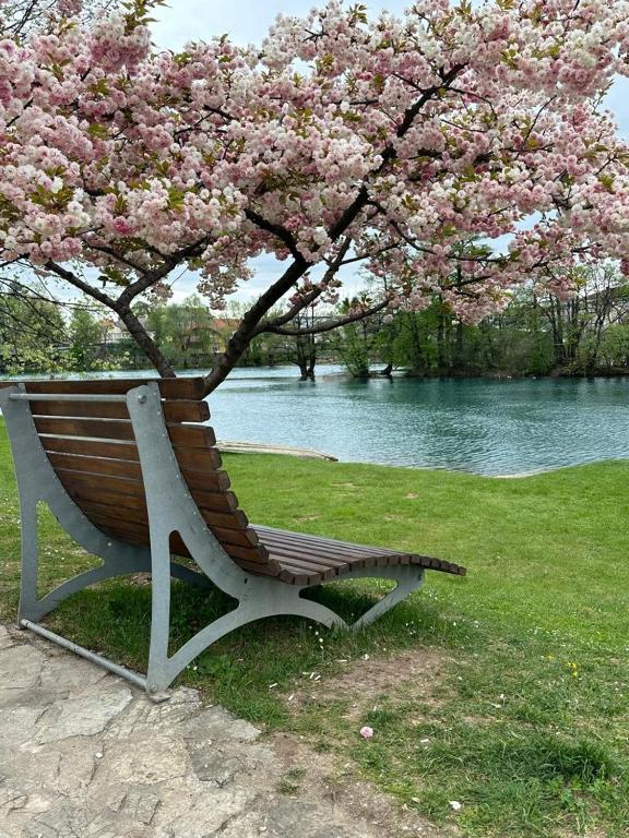 a park bench sitting under a tree with pink flowers at Apartman My Choice in Bihać