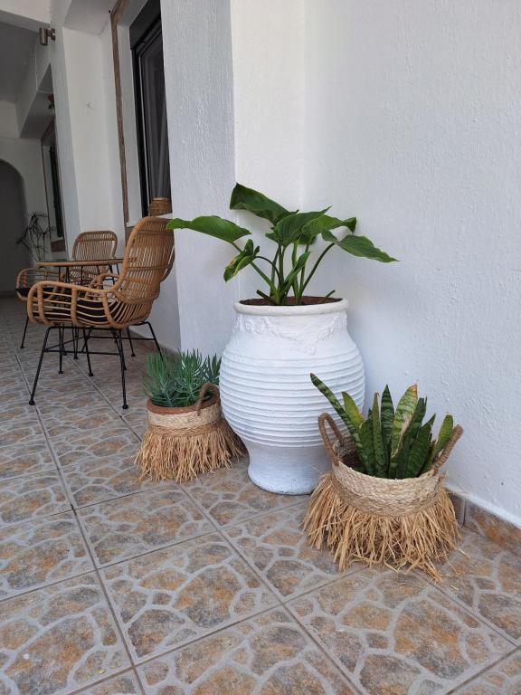 a large white vase sitting on a floor with plants at Vithos in Agnontas