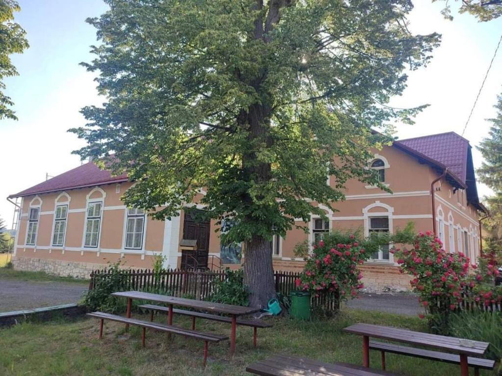 Zahrada ubytování Apartmány 68