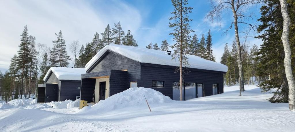 a house is covered in snow in the woods at Villa Noel in Ylläsjärvi