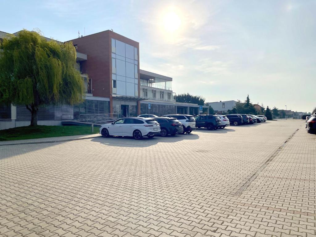 Hotel Ponteo - Activity Park - Resim 8