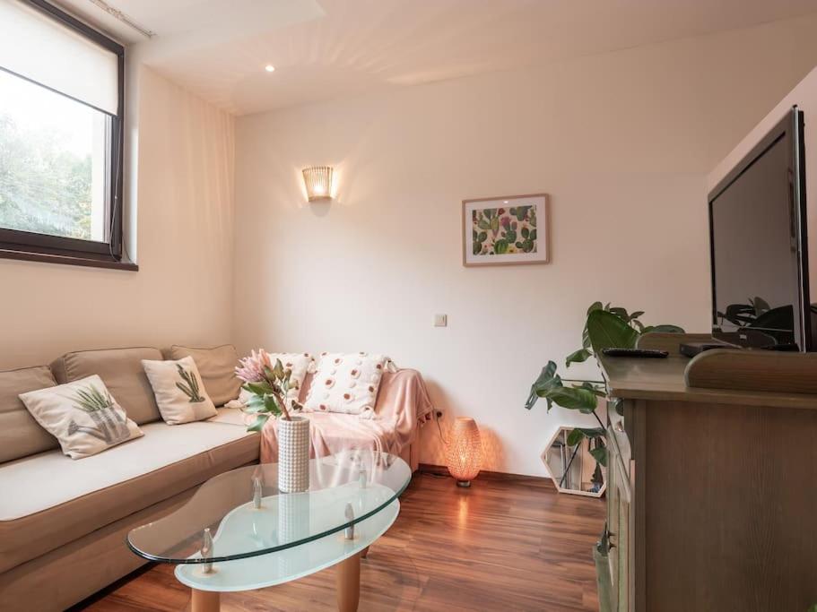 a living room with a couch and a glass table at KAMYKÓWKA apartament w sąsiedztwie gór i lasów in Piechowice