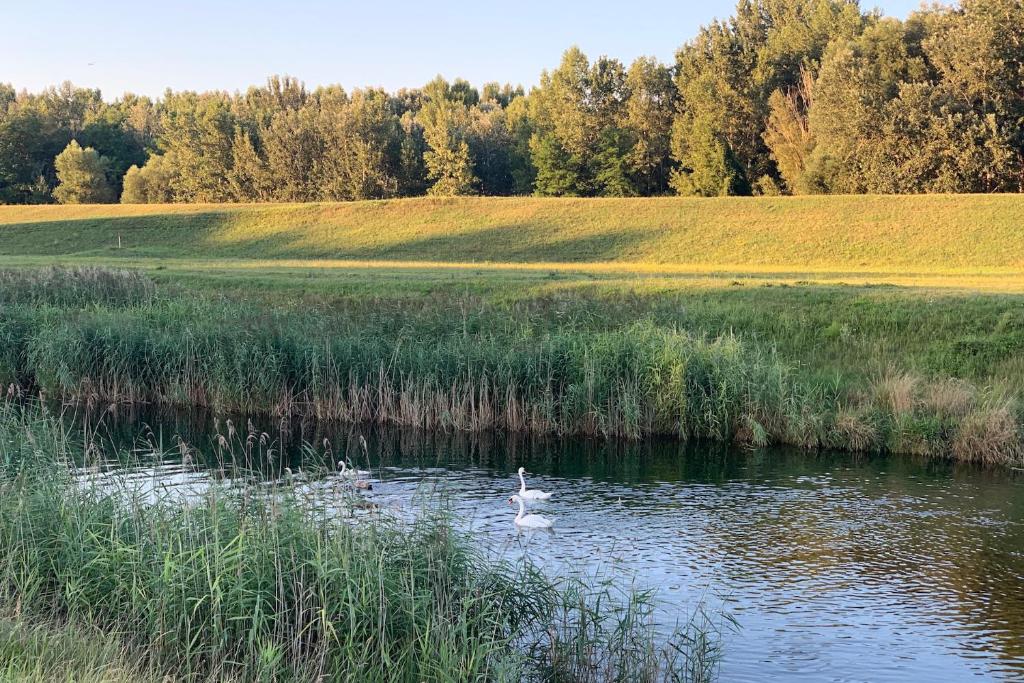 Hotel Ponteo - Activity Park - Resim 9