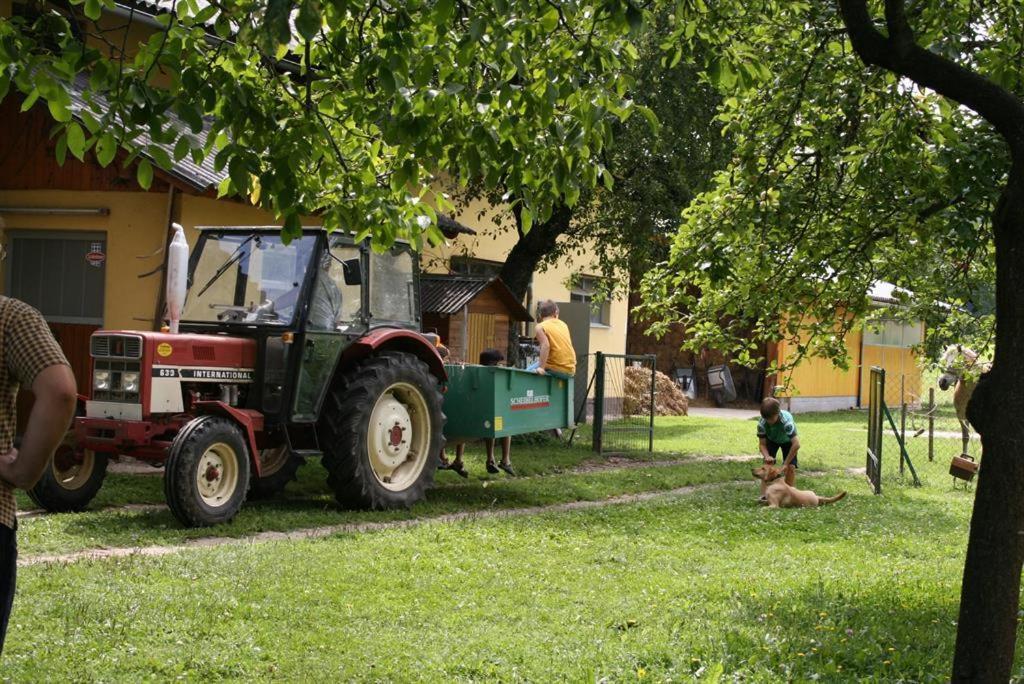 ciągnik zaparkowany na podwórku obok psa w obiekcie Bauernhof-Pension Puschnikhof w mieście Unternarrach