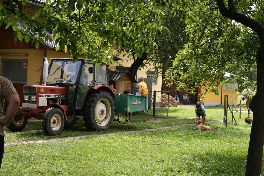 Zahrada ubytování Bauernhof-Pension Puschnikhof