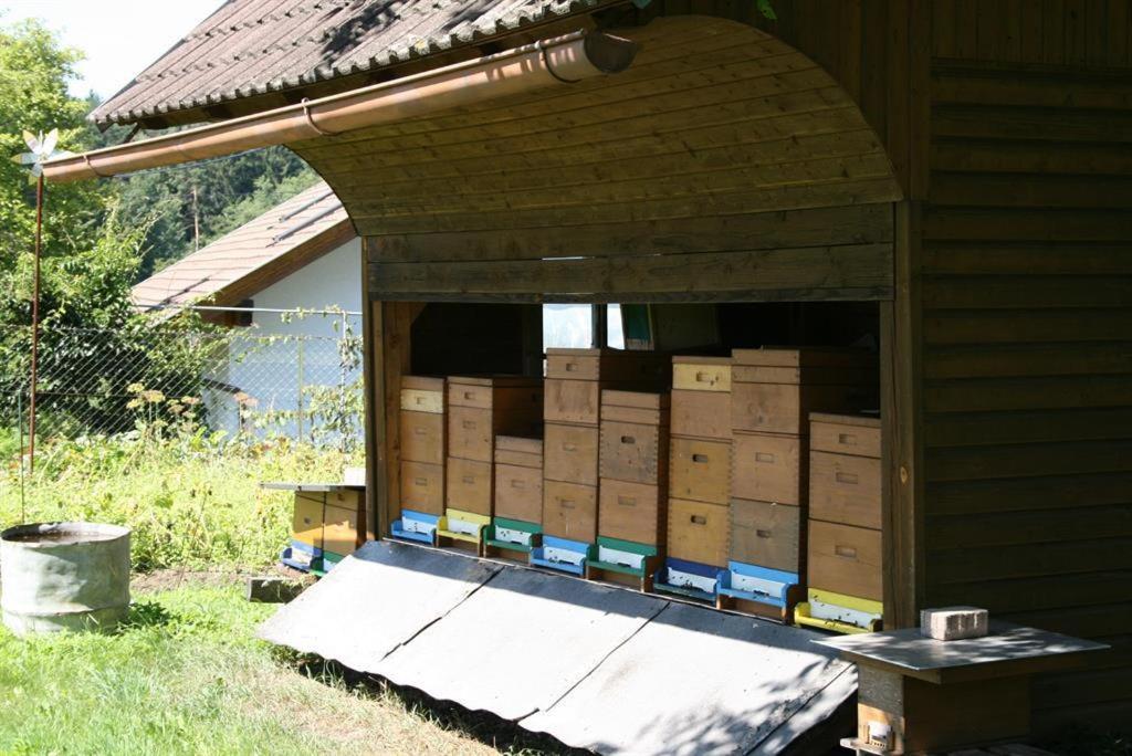 Zahrada ubytování Bauernhof-Pension Puschnikhof