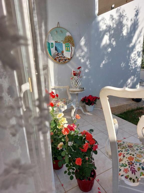 Fotografie z fotogalerie ubytování Boheme studio Artemis v destinaci Áyios Spirídhon