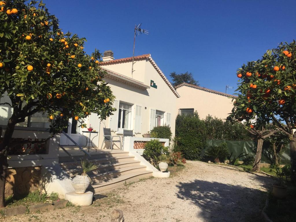 Uma casa branca com uma laranjeira à frente. em Petit appartement tranquille avec jardin - Hyeres Centre Ville em Hyères