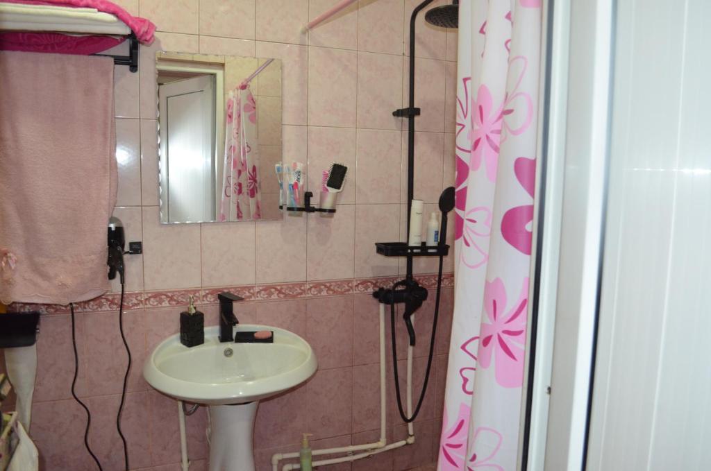 uma casa de banho com um lavatório e um chuveiro em Nice home in centre em Yerevan