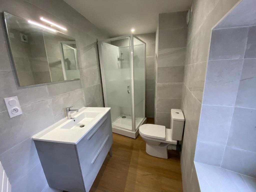 La salle de bains est pourvue d&#39;un lavabo blanc et de toilettes. dans l&#39;établissement Appartements Baron Bouvier, à Vesoul