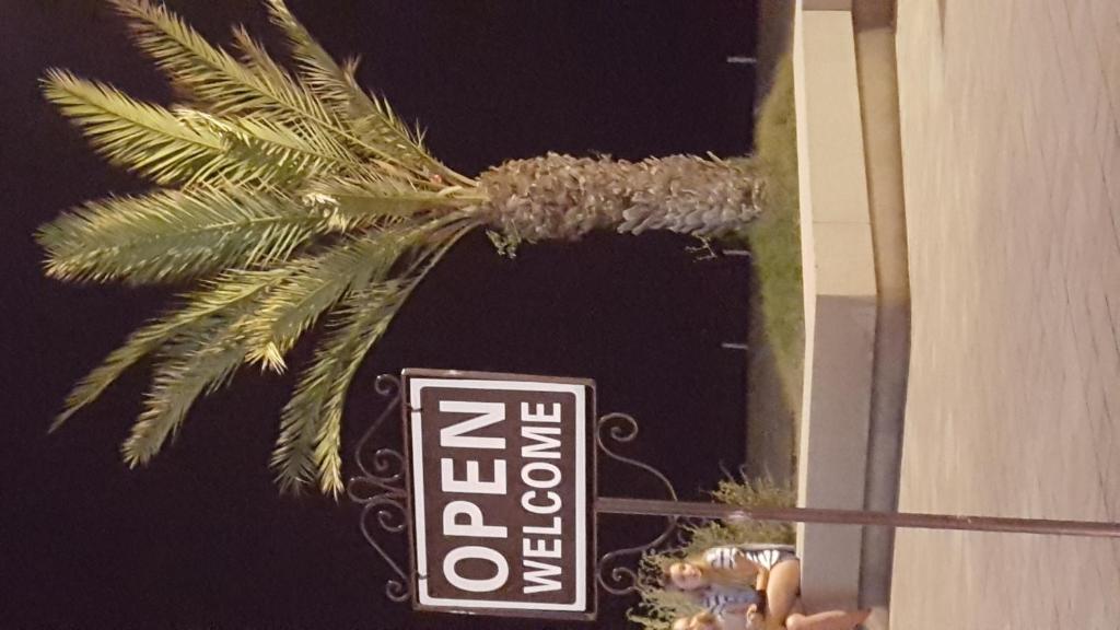a sign that says zocalo next to a palm tree at El Velero una terraza al mar in Calafell