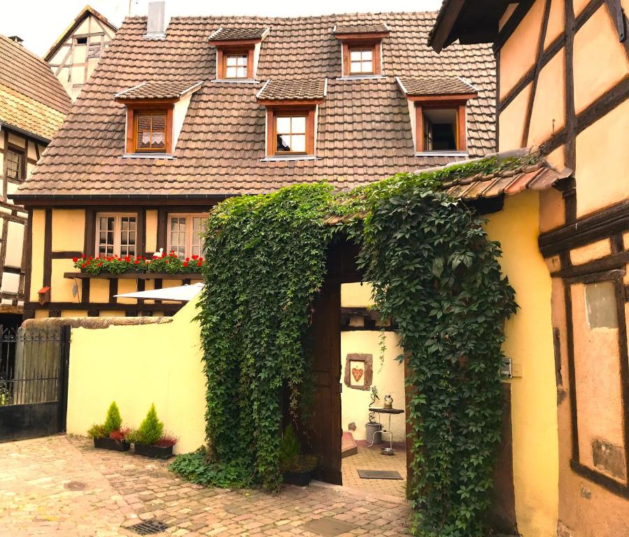 Les Gîtes Coeur de Vigne – photo 28