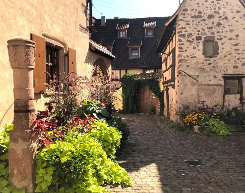 Les Gîtes Coeur de Vigne – photo 41