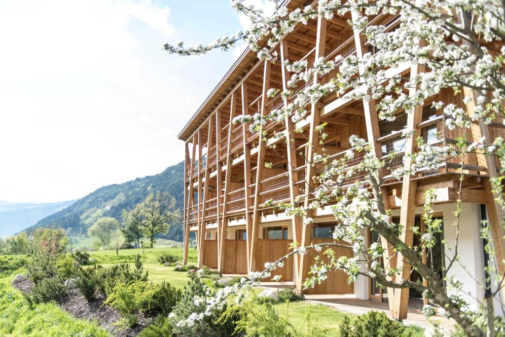 a house in the mountains with a flowering tree at Taubers Bio Vitalhotel in Chienes