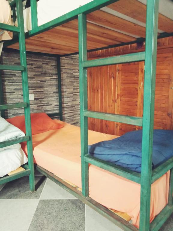 My Hostel in Dahab - Dive center - 16