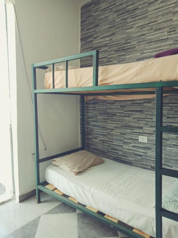 My Hostel in Dahab - Dive center - 17