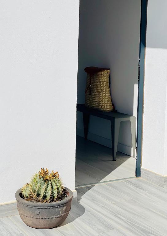 A seating area at CASA MIRABEL