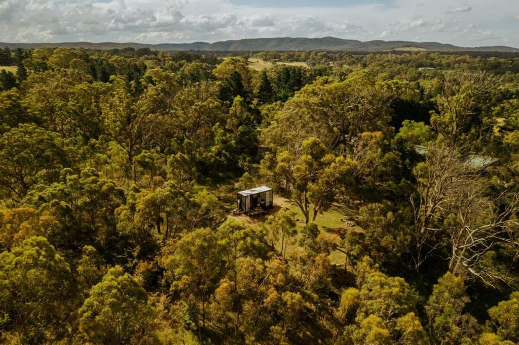 une vue aérienne sur une cabine au milieu d'une forêt dans l'établissement The Clearing, 