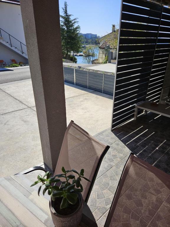Příroda nedaleko apartmánu