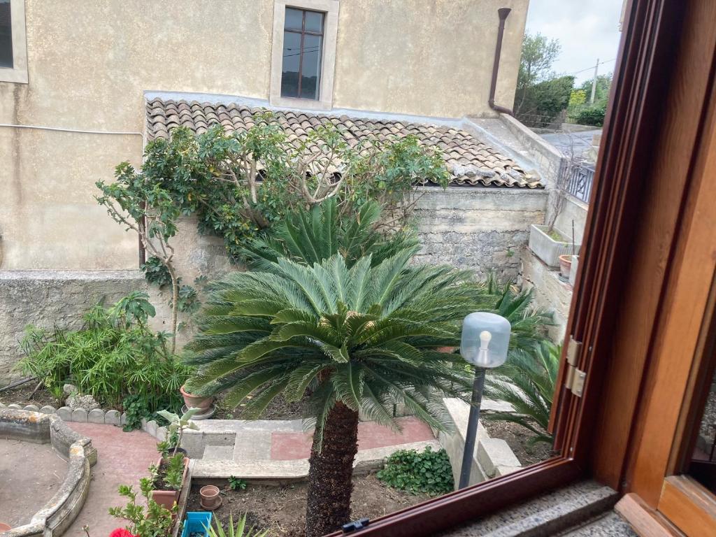 Zahrada ubytování B&B La Terrazza Dell'Itria