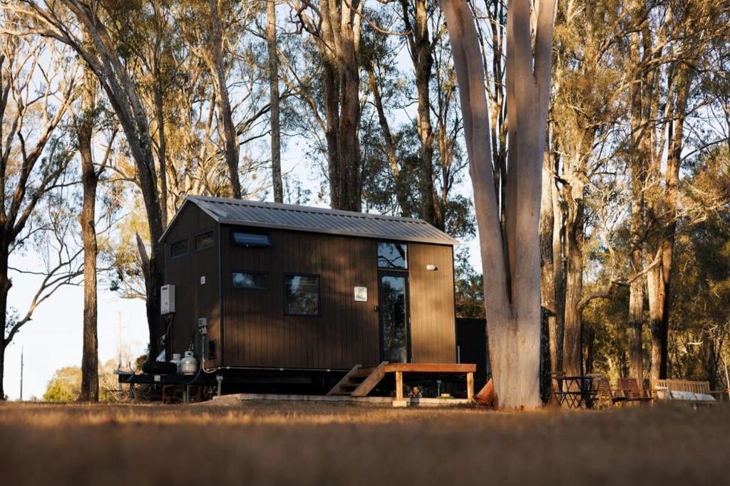a tiny house in the middle of a forest at 5 Acre Jimboomba Retreat in Jimboomba