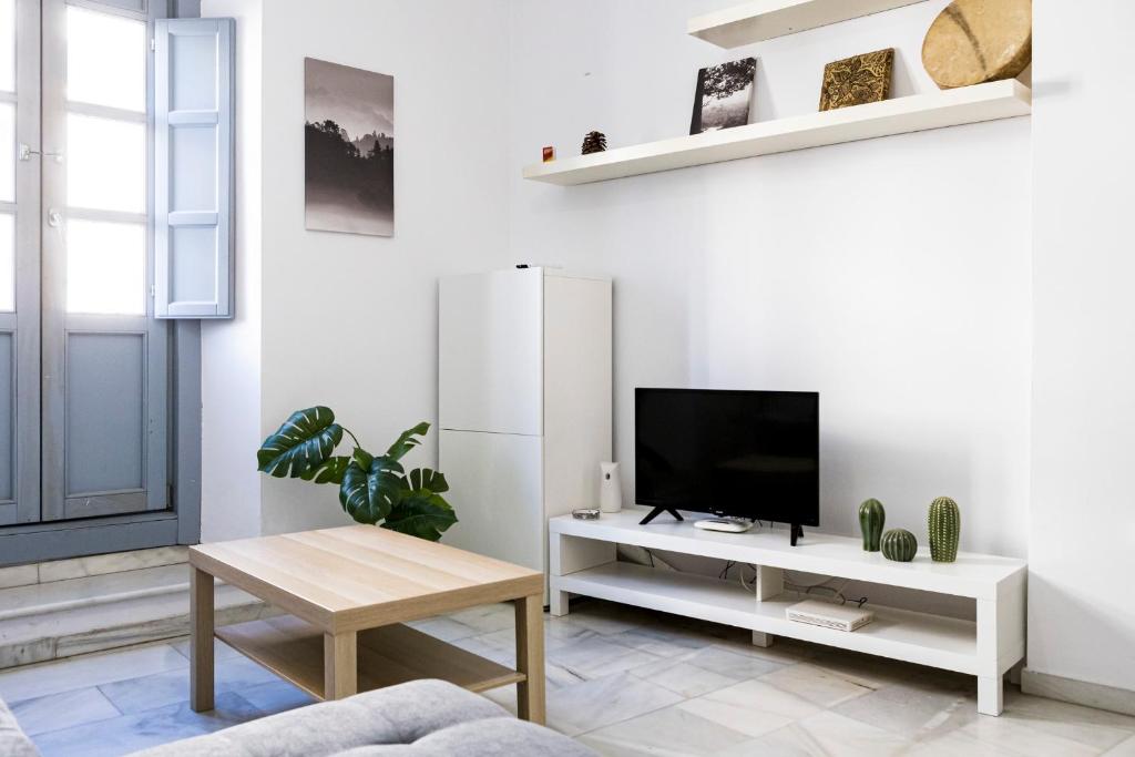 Televízia a/alebo spoločenská miestnosť v ubytovaní Suites Picasso Málaga