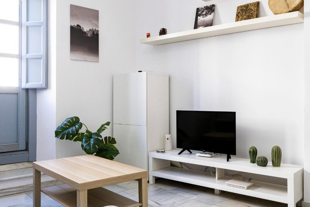 Televízia a/alebo spoločenská miestnosť v ubytovaní Suites Picasso Málaga