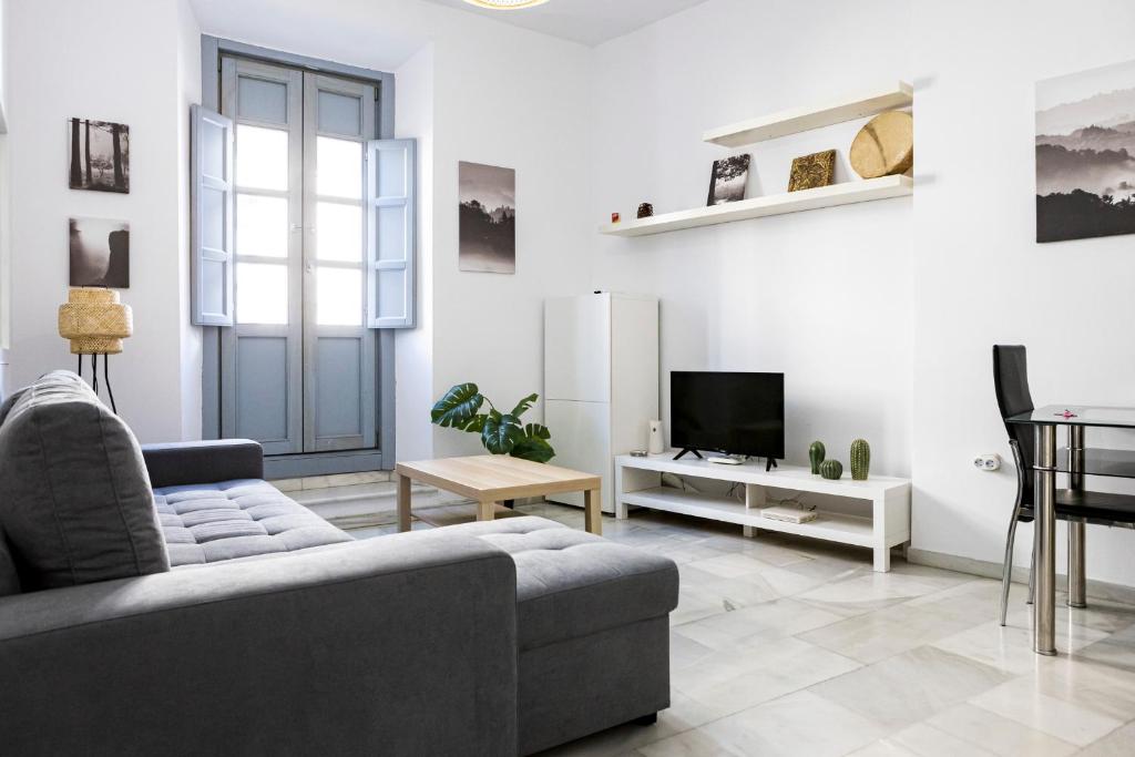 Televízia a/alebo spoločenská miestnosť v ubytovaní Suites Picasso Málaga