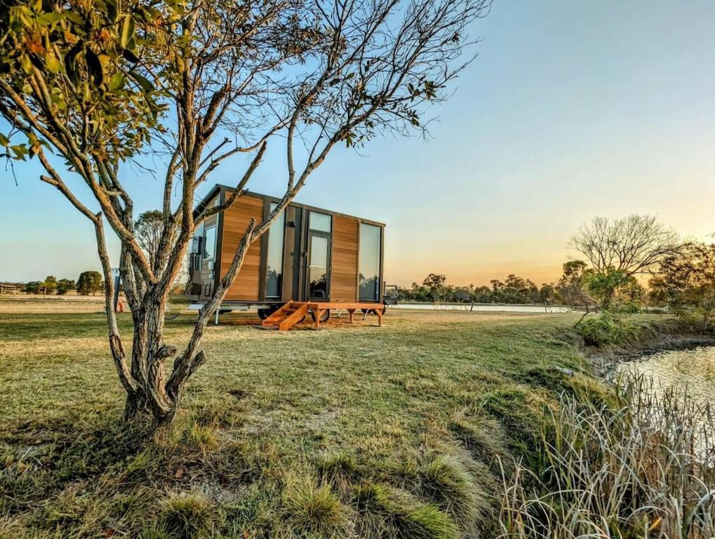 a glass house in a field with a tree at Turtle Island Lakeside Tiny House 2 in Toogoom