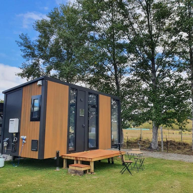 Une petite maison avec une table de pique-nique dans un champ dans l'établissement Gold Nugget, à Lawrence