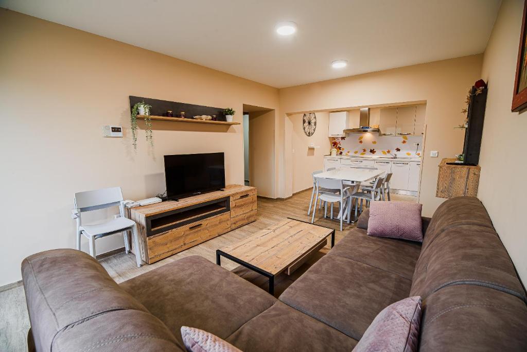 克拉尼斯卡戈拉Apartment LeLa with Sauna的一间带棕色沙发的客厅和一间厨房