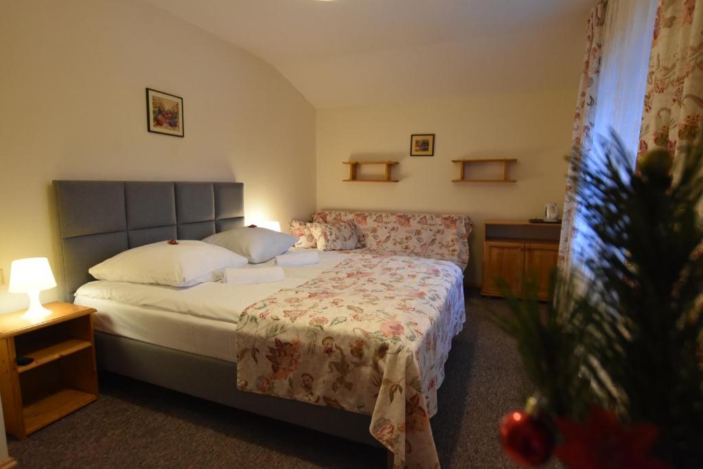 Sasanka przy Gondoli - 14