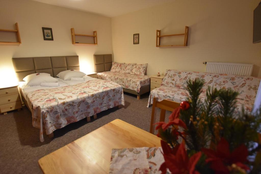 Sasanka przy Gondoli - 16