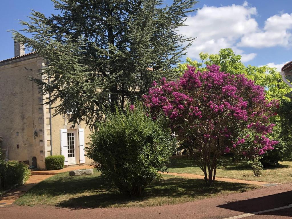 zwei Bäume mit rosa Blumen vor einem Gebäude in der Unterkunft The Cool Lounge à Coulonges - Charente in Coulonges
