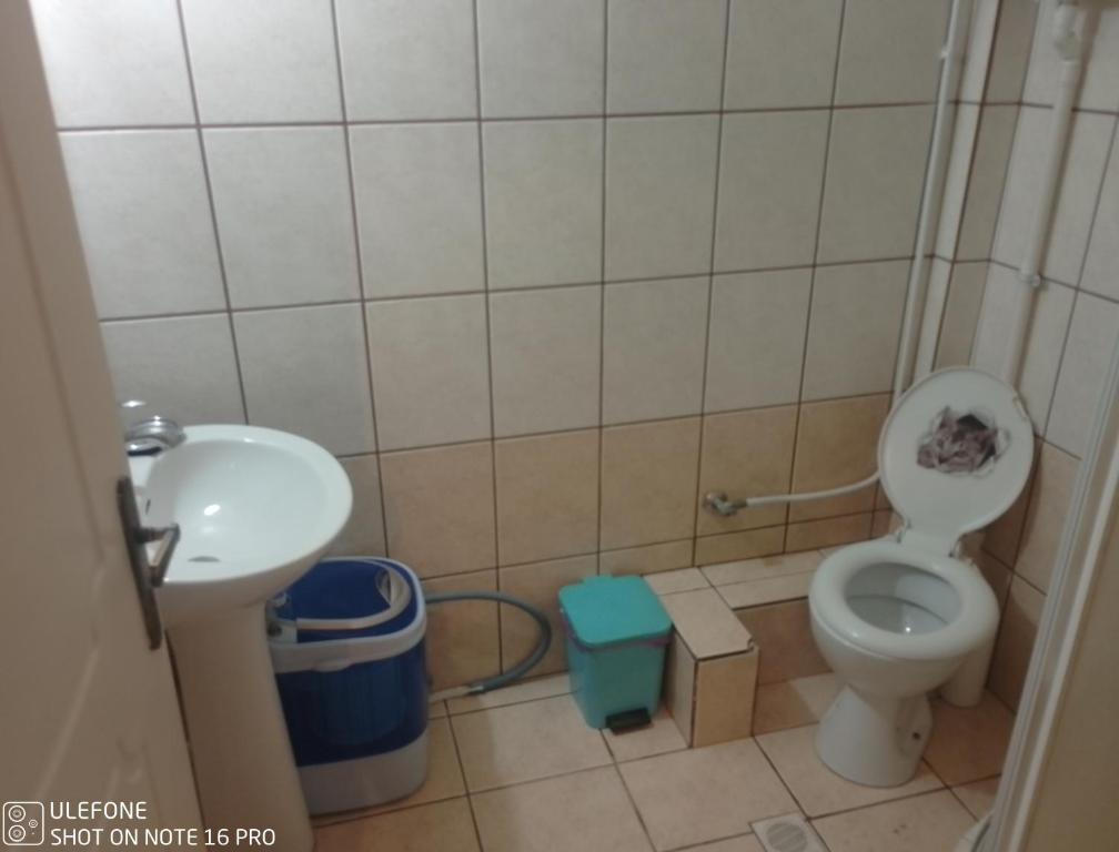 Koupelna v ubytování Geralis Lodge