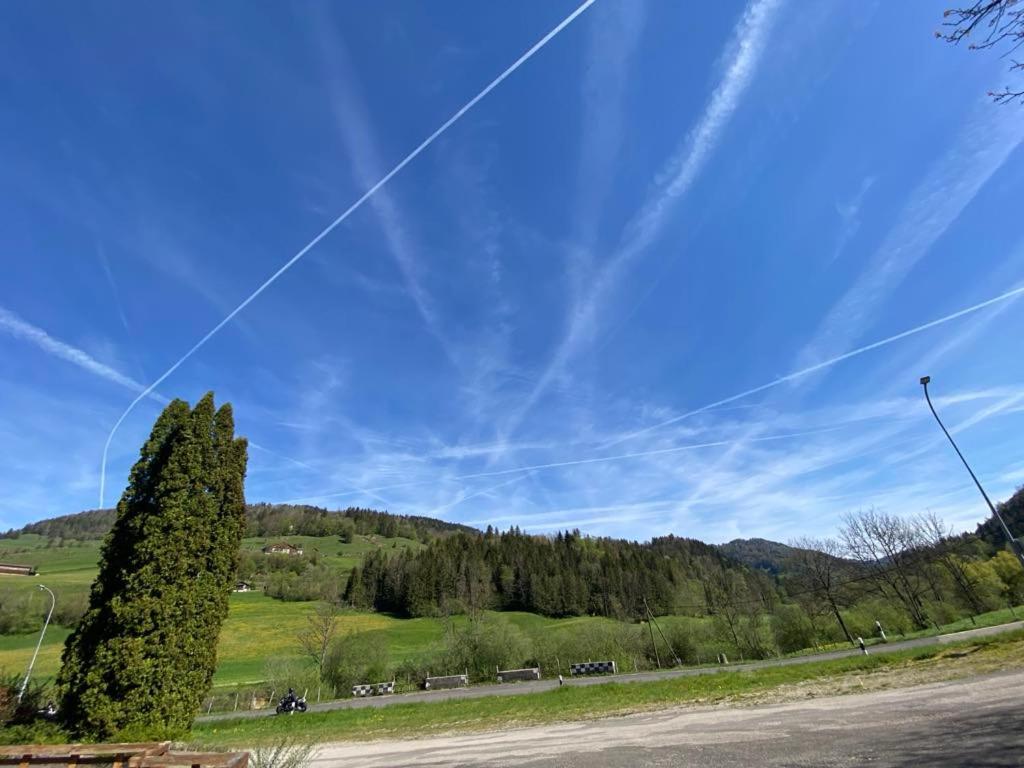 a kite flying in the sky above a tree at le Relais du Doubs in Soubey