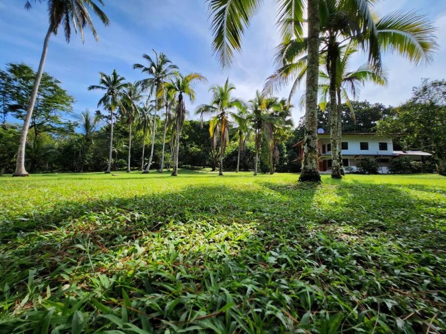 a lawn with palm trees and a house in the background at La Amistad agrotourism farm in Penonomé