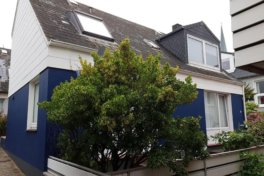 a blue house with a tree in front of it at Felsen-Eck Apartments in Helgoland