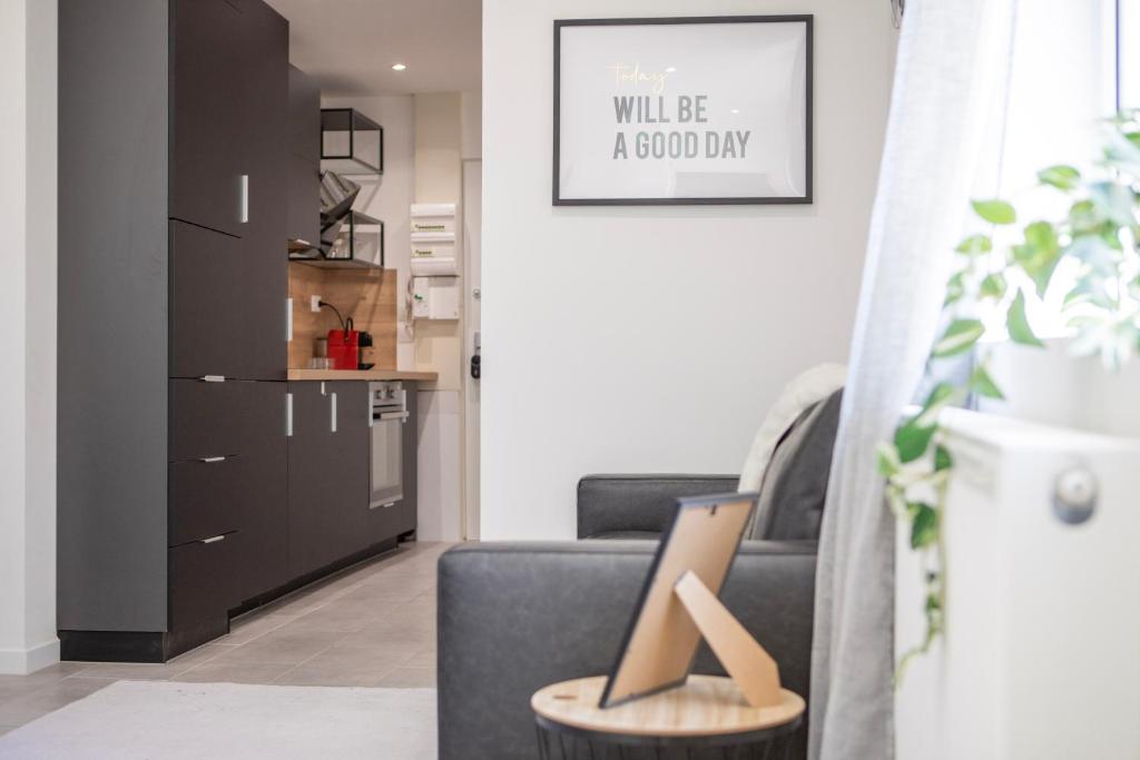 Le Mulhousien/ Parking gratuit / WIFI / Lave linge/ Tudors Locations – photo 27