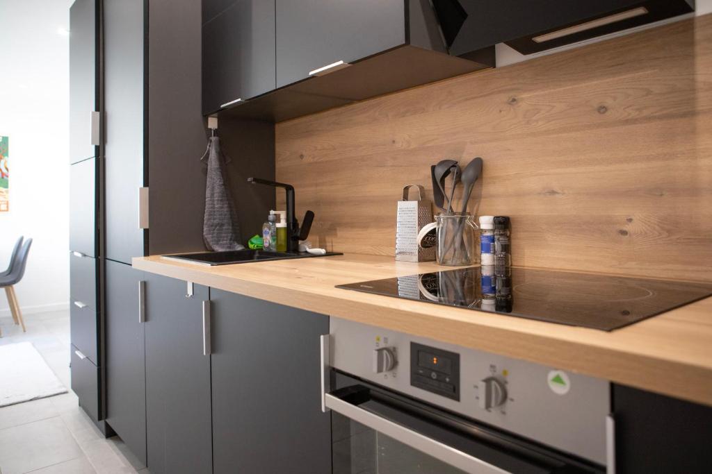 Le Mulhousien/ Parking gratuit / WIFI / Lave linge/ Tudors Locations – photo 15