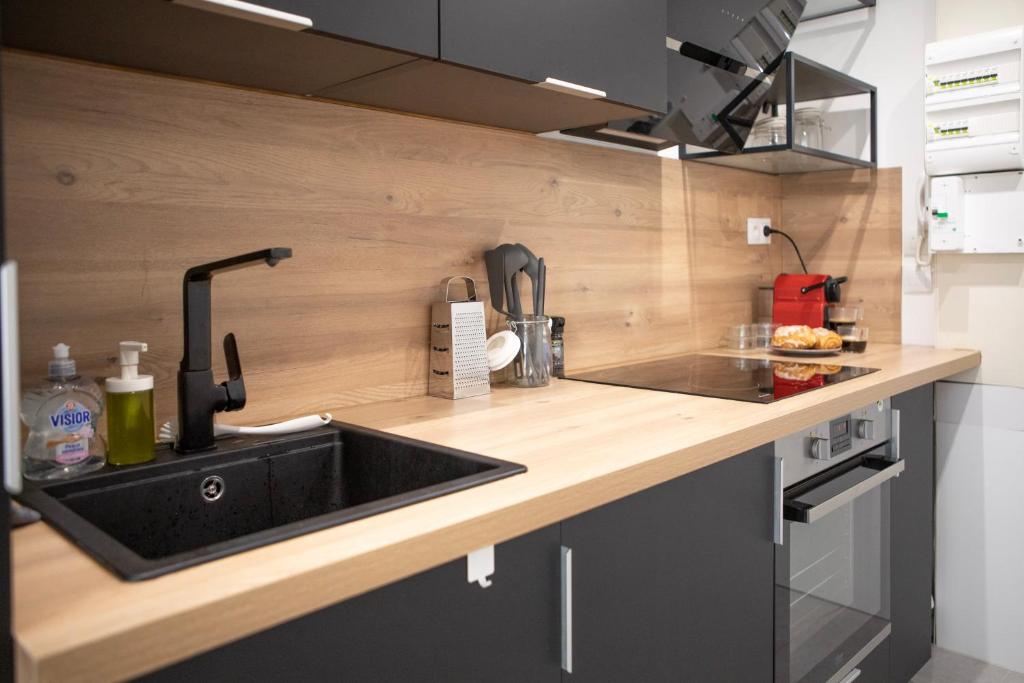 Le Mulhousien/ Parking gratuit / WIFI / Lave linge/ Tudors Locations – photo 16