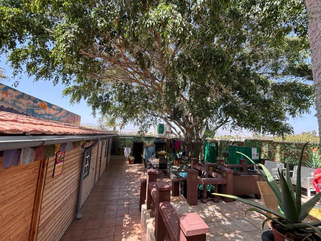 Fotografie z fotogalerie ubytování Hostel Los Duendes del Sur v destinaci Costa Del Silencio